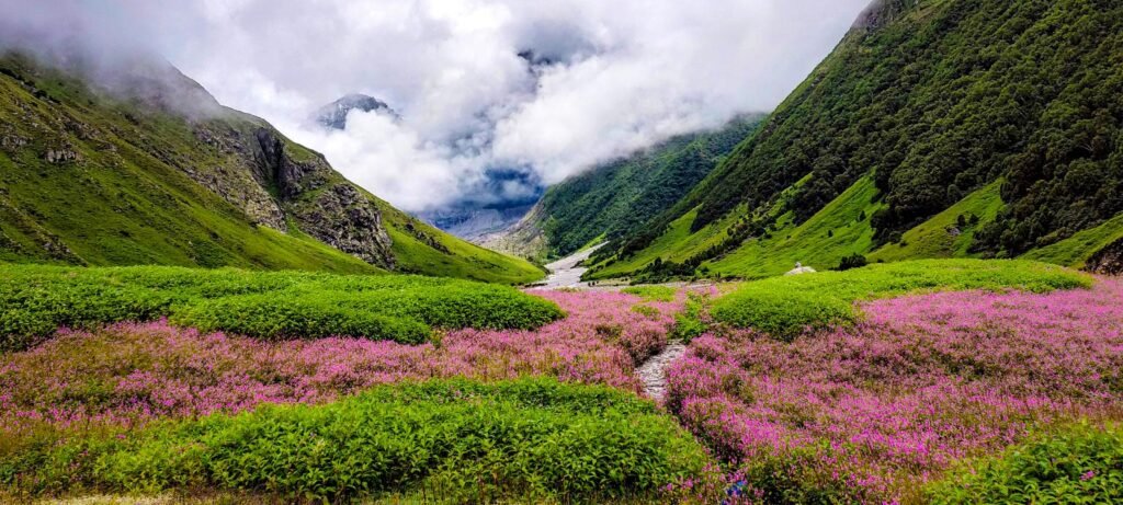 Valley of Flowers Uttarakhand